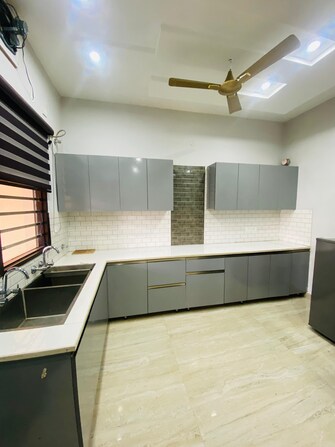 2 BHK Builder Floor For Rent in Sunny Enclave Mohali  7632269