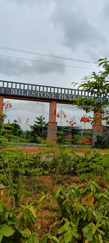  Plot – Exterior View View at Kongara Kalan - for Sale