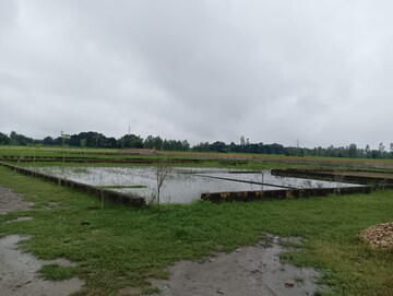 Plot Area in  Plot at Mohanlalganj – for Sale