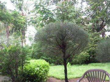  Plot – Garden View at Murbad Karjat Road - for Sale