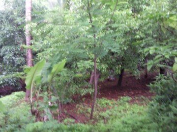  Plot – Garden View at Murbad Karjat Road - for Sale
