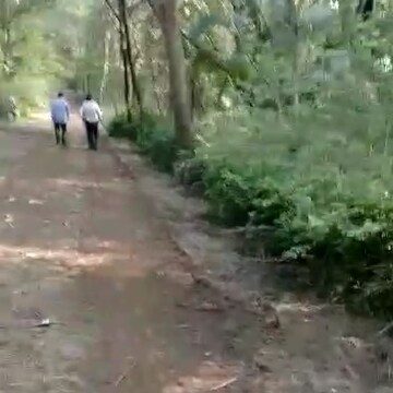  Plot – Exterior View View at Murbad Karjat Road - for Sale