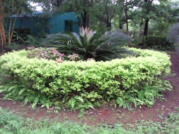  Plot – Garden View at Murbad Karjat Road - for Sale