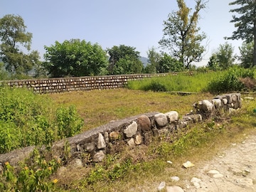Plot Area in  Plot at Raipur Road – for Sale