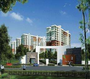 2 BHK Apartment For Rent in Prestige Ferns Residency Harlur Bangalore  7634042