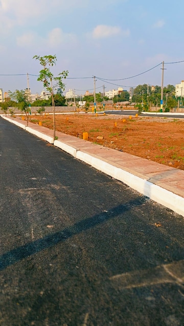 Plot For Resale in Hajjala Bangalore  7634129