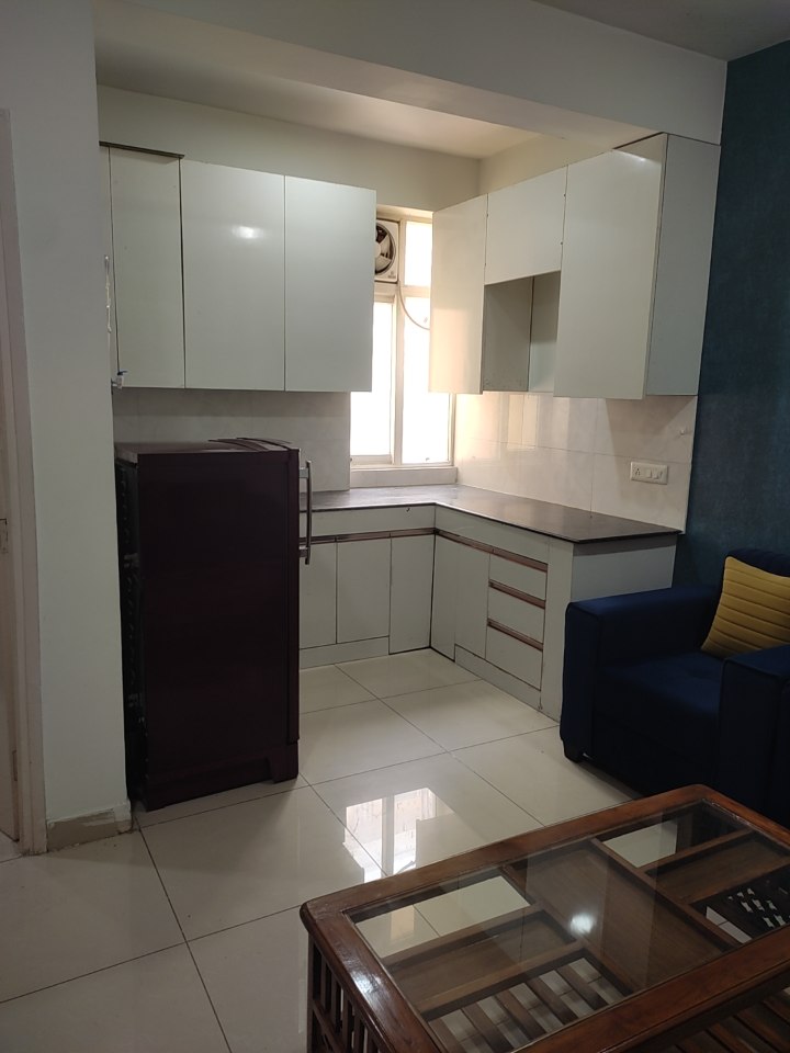 1 BHK Apartment For Rent in AVL 36 Gurgaon Sector 36 Gurgaon  7634474