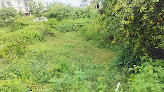 Plot For Rent in Narsingi Hyderabad  7635354