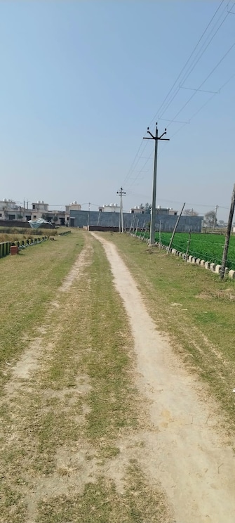 Plot For Resale in Faizabad Road Lucknow  7635408