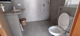 2 BHK Apartment For Rent in SS The Leaf Sector 85 Gurgaon  7635486