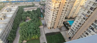 2 BHK Apartment For Rent in SS The Leaf Sector 85 Gurgaon  7635486