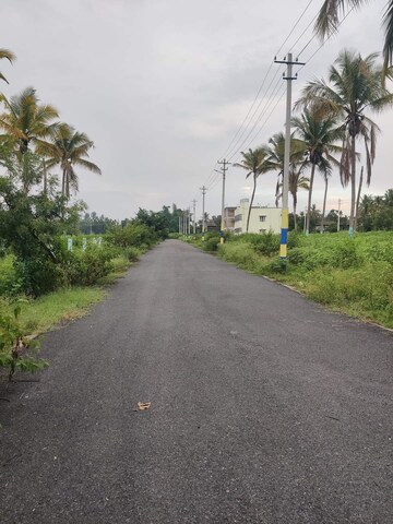 Plot Area in  Plot at Chithara – for Sale
