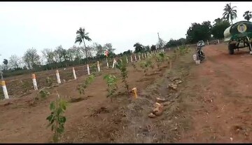 Plot Area in  Plot at Mylavaram – for Sale
