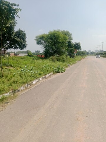 Plot Area in  Plot at Altus Prime, North Mullanpur – for Sale