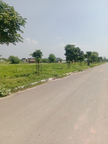  Plot For Sale in Altus Prime, North Mullanpur