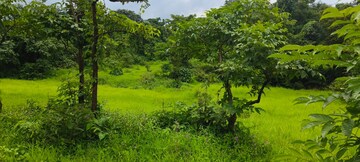 Plot Area in  Plot at Mangaon – for Sale