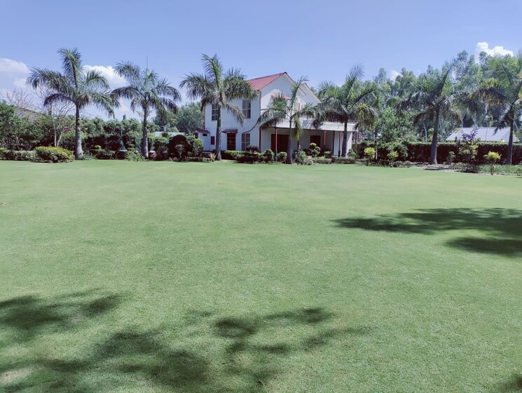 Garden, gaur-yamuna-city-6th-park-view  105 Sq.Yd. Plot In Gaur Yamuna City Greater Noida 7637287