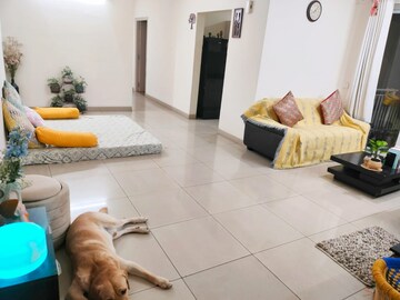 Living Room in 3.5 BHK Apartment at Emaar Palm Gardens, Sector 83 – for Sale