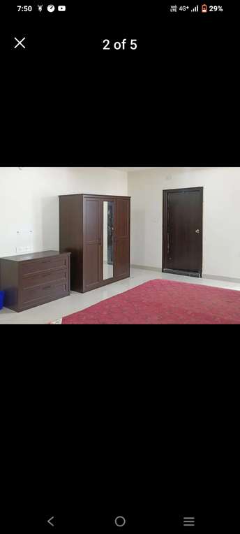 1 BHK Apartment For Rent in Banjara Petals Banjara Hills Hyderabad  7620542