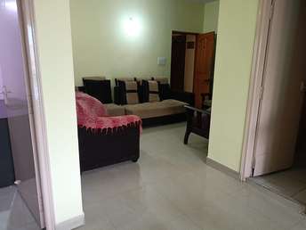 2 BHK Apartment For Rent in Murugesh Palya Bangalore  7637703