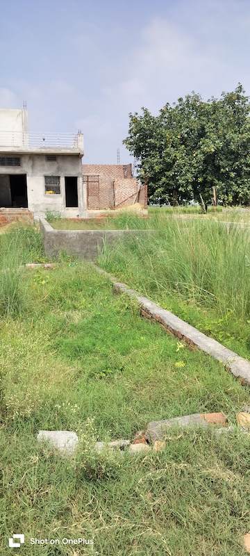 Plot Area in  Plot at Sector 87 – for Sale