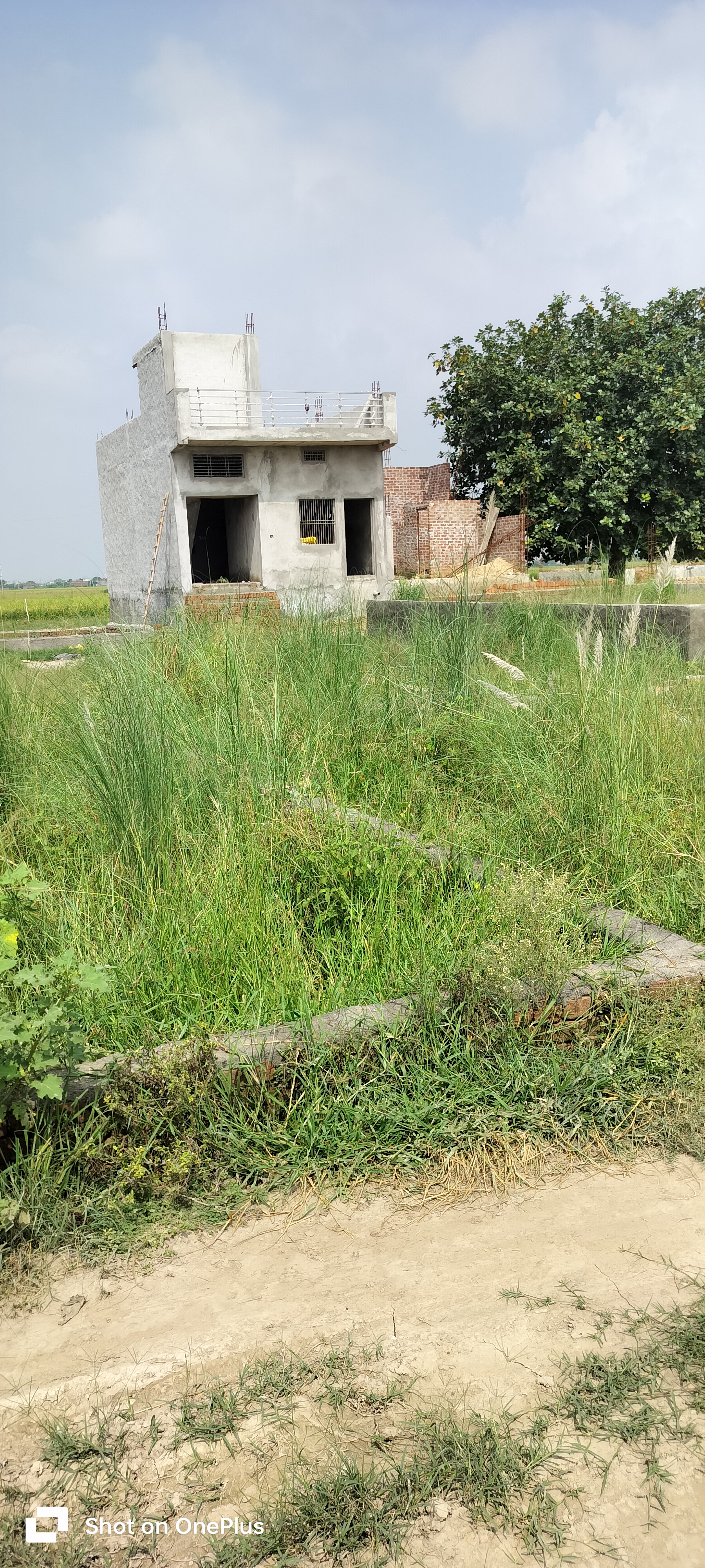 Plot For Resale in Sector 87 Faridabad  7637754