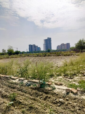 Plot Area in  Plot at Sector 27 Yamuna Expressway – for Sale