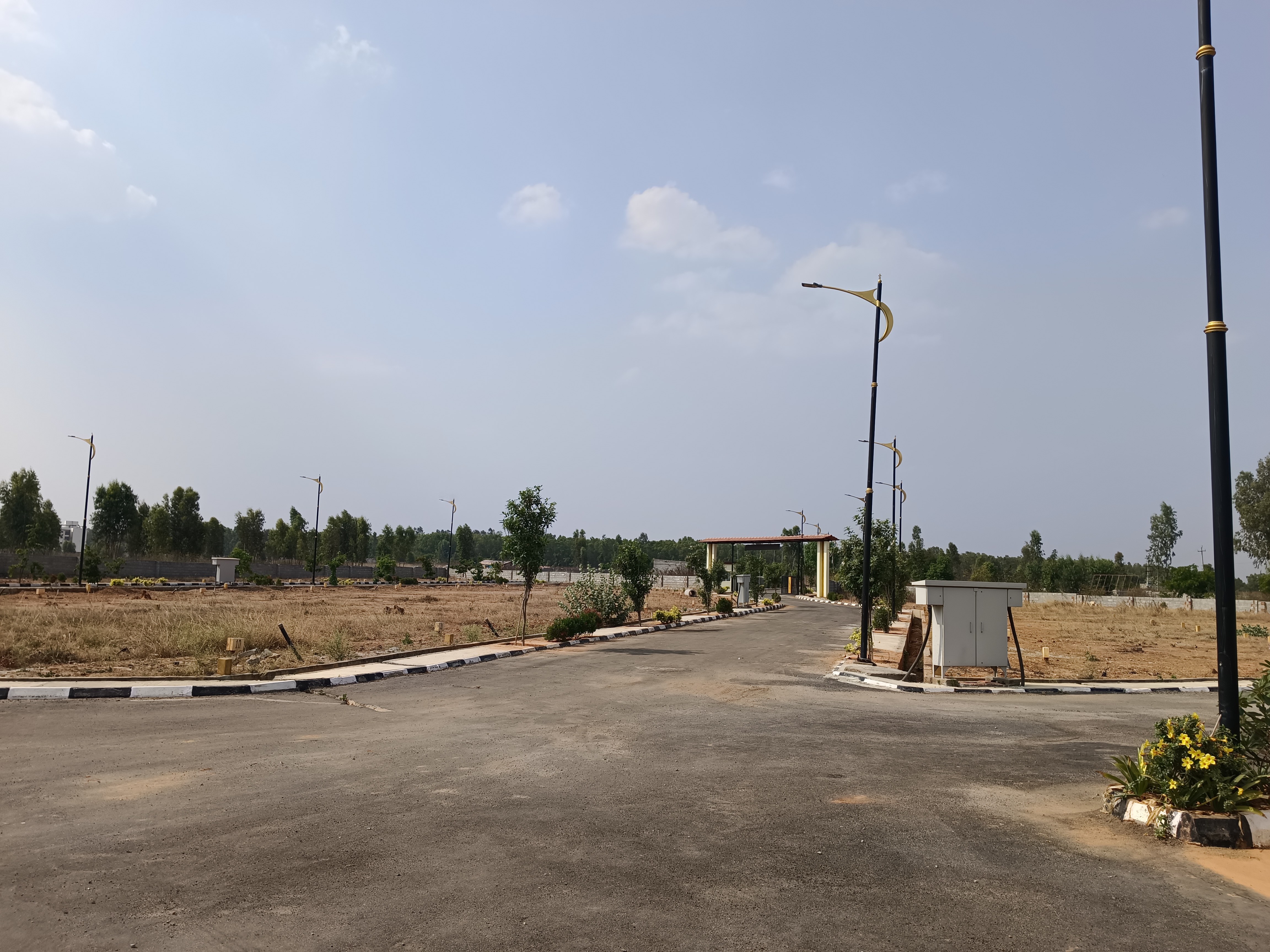 Plot For Resale in Hoskote Bangalore  7638280