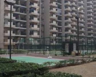 1 BHK Apartment For Resale in Gaur City 2 - 14th Avenue Noida Ext Sector 16c Greater Noida  7638567