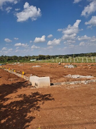 Plot For Resale in Nelamangala Bangalore  7638583