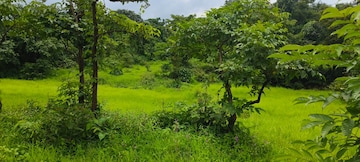  Plot – Garden View at Mangaon - for Sale