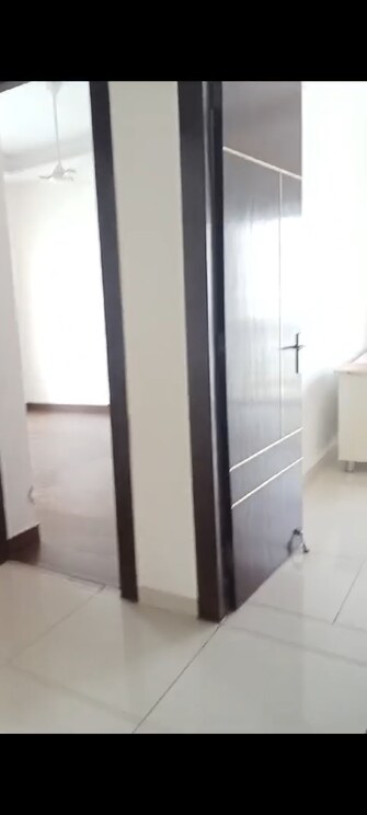 3 BHK Apartment For Rent in Sunworld Arista Sector 168 Noida  7638858