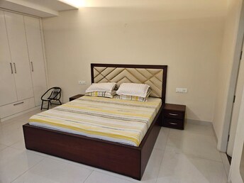 3 BHK Apartment For Rent in Skylar Homes Patiala Road Zirakpur  7638874