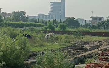 Plot For Sale in Sector 27 Yamuna Expressway