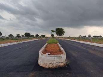 Plot For Resale in Mucherla Hyderabad  7639176