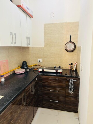 1 BHK Apartment For Rent in Alliance The Eminence Singhpura Zirakpur  7639237