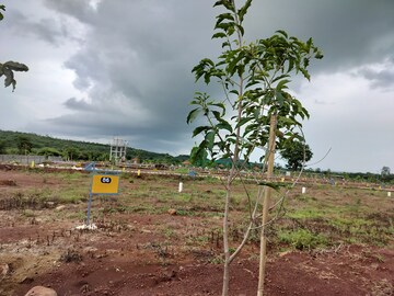 Plot Area in  Plot at Veltur – for Sale