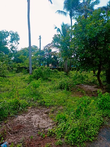 Plot For Resale in Mapusa North Goa  7639398