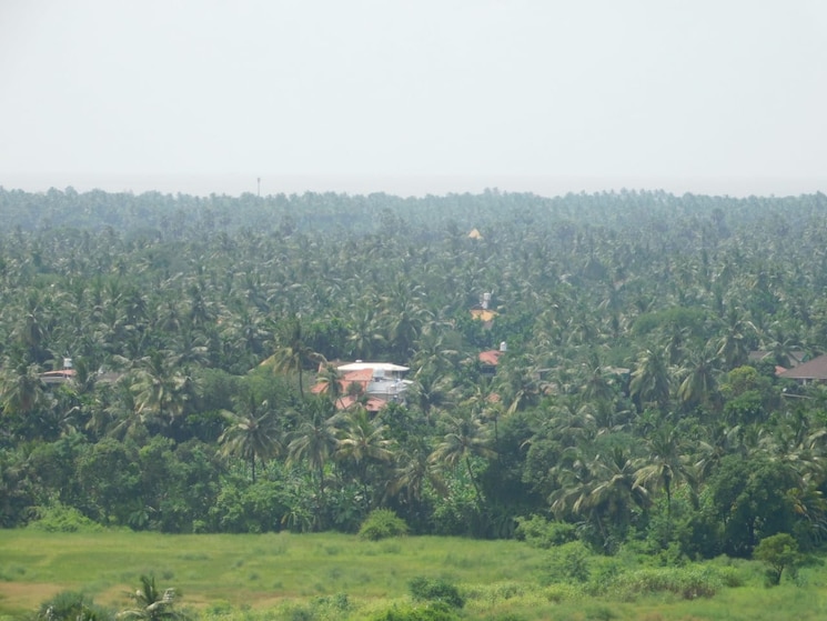 Exterior View, shapoorji-pallonji-joyville-virar-phase-2 1 Bedroom 750 Sq.Ft. Apartment In Virar West Palghar 7639751