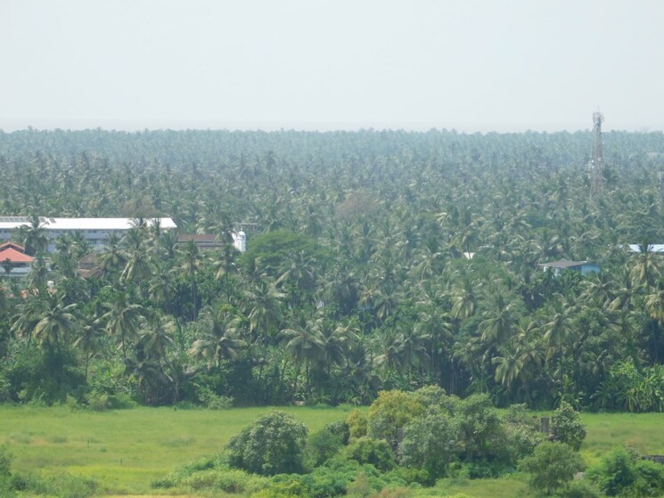 Master Bedroom, shapoorji-pallonji-joyville-virar-phase-2 1 Bedroom 750 Sq.Ft. Apartment In Virar West Palghar 7639751