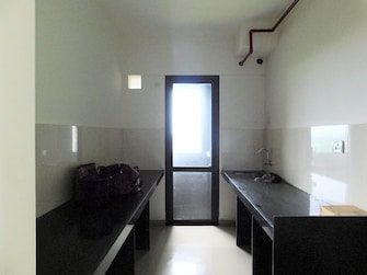 1 BHK Apartment For Rent in Shapoorji Pallonji Joyville Virar Phase 2 Virar West Palghar  7639751