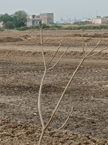 Plot Area in  Plot at Sohna Sector 1 – for Sale