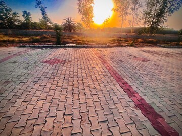  Plot For Sale in Lalru