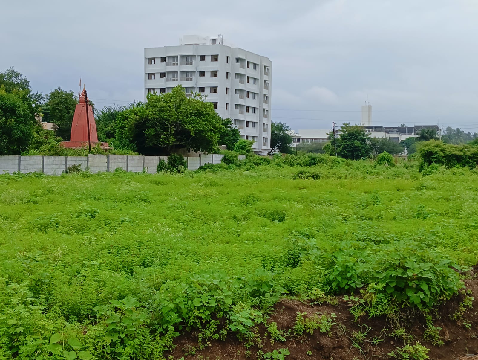 रेसिडेंशियल प्लॉट वर्ग यार्ड फॉर रीसेल इन राज नगर एक्सटेंशन ग़ाज़ियाबाद  7640314