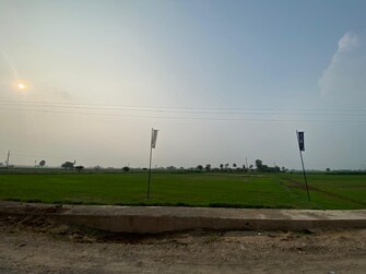 Commercial Industrial Plot 300 Sq.Yd. For Resale in Banur Mohali  7640402