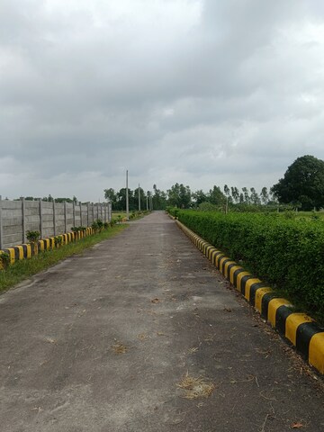 Plot Area in  Plot at Mohanlalganj – for Sale