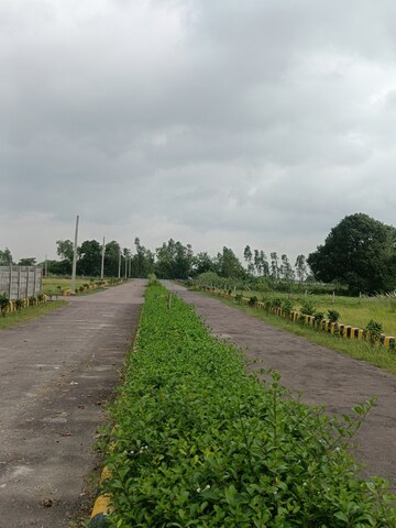 Plot Area in  Plot at Mohanlalganj – for Sale