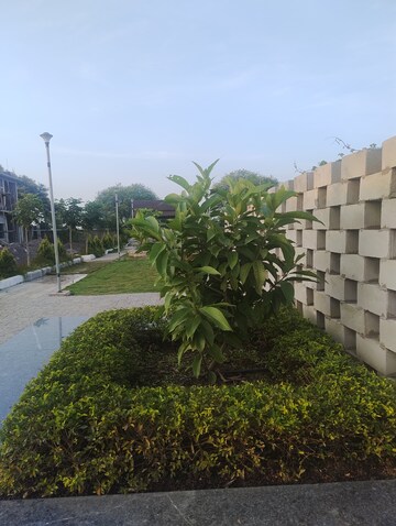 2 BHK Villa – Exterior View View at Kumhari - for Sale