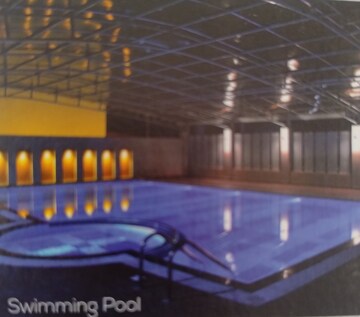 Swimming Pool in 2 BHK Villa at Kumhari – for Sale