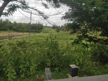 Plot For Resale in Rajaji Nagar Bangalore  7642554